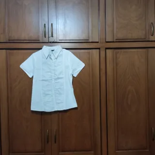 شومیز