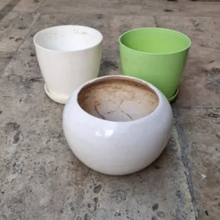 گلدون‌