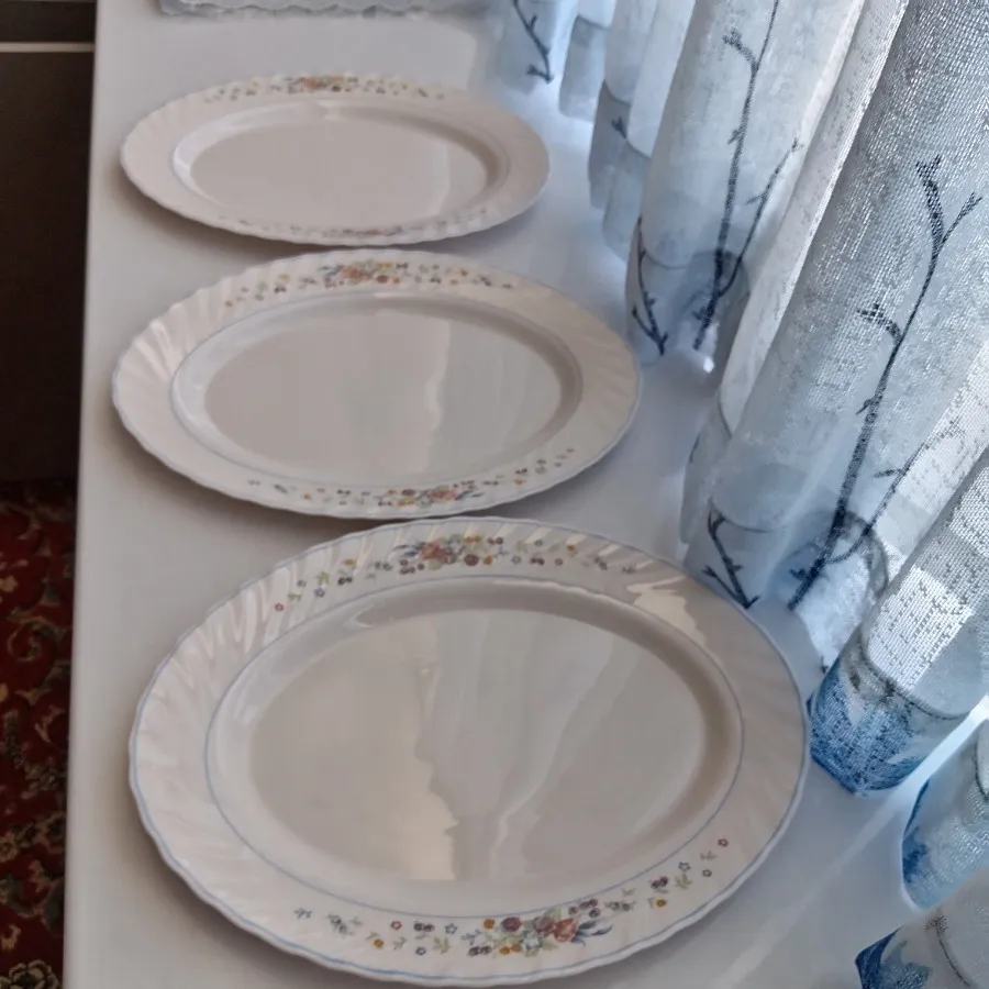 3عدد دیس لومینارک