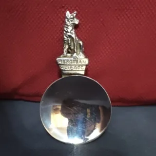 قاشق پلاک دار اروپایی