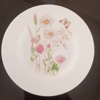 بشقاب میوه خوری