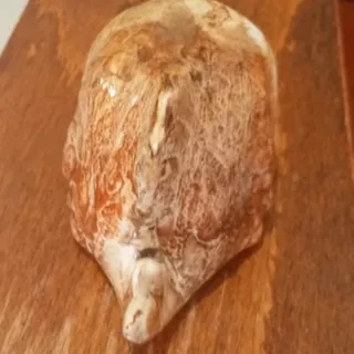 جا جواهری و دکوری نهنگ