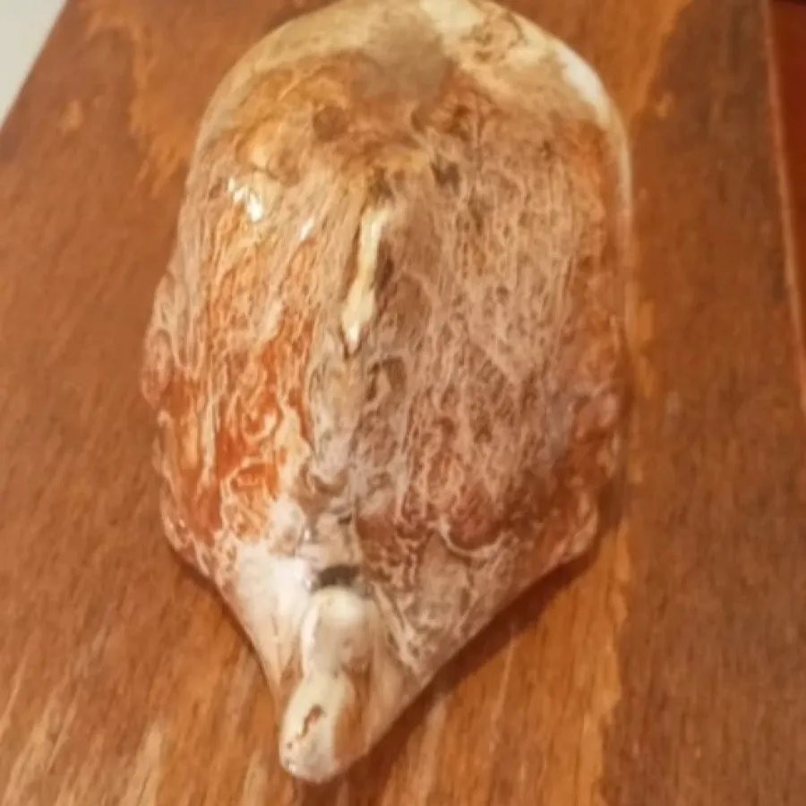 جا جواهری و دکوری نهنگ