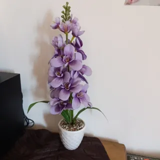 گل و گلدان