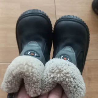 بوت