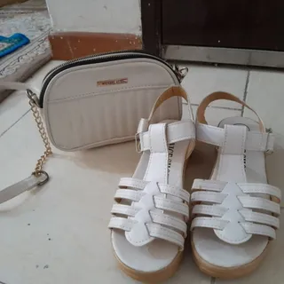 کیف و کفش