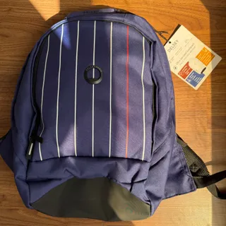 کوله پشتی اصل دلسی پاریس