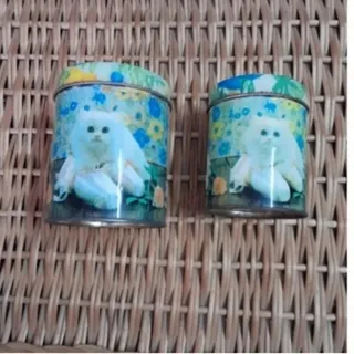 ظرف نگهدارنده