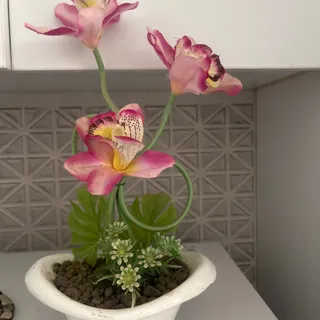گلدون