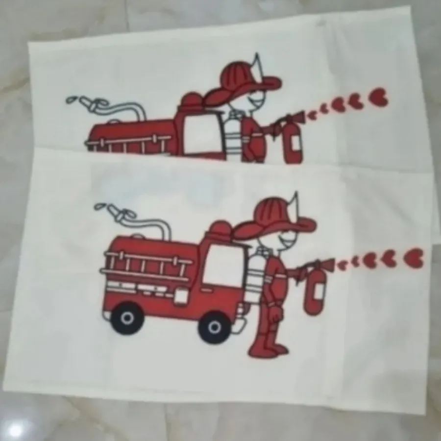 روبالشتی