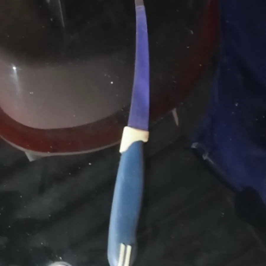 چاقو آشپزخانه