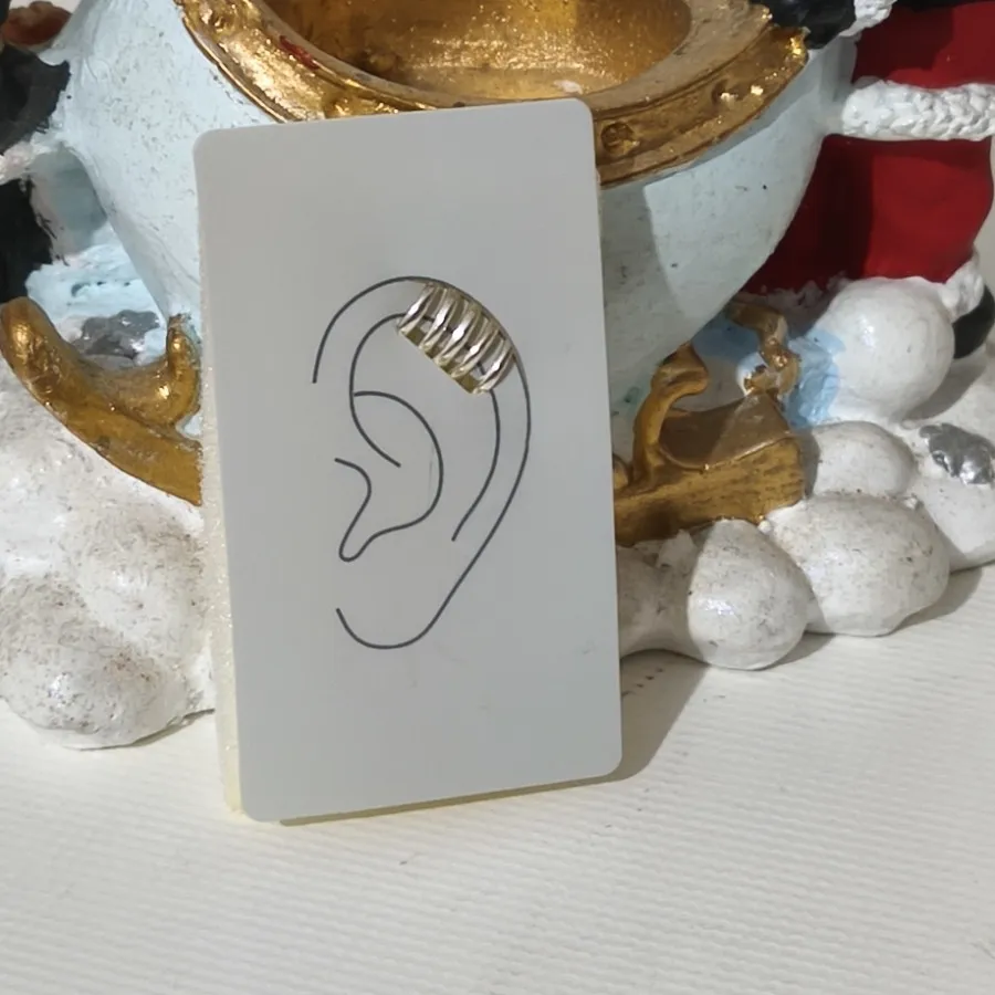 ایرکاف گوش نقره