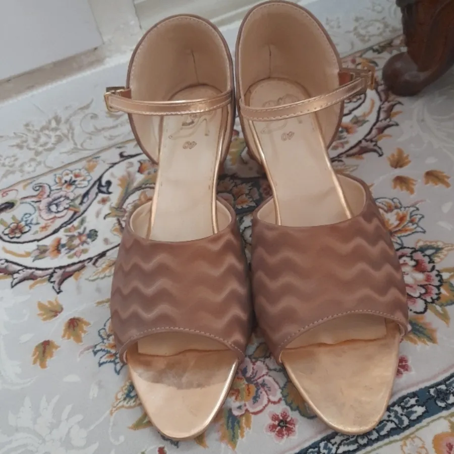 کفش مجلسی