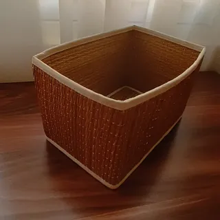 ارگانایزر/نظم دهنده ایکیا