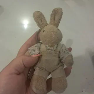 جاکلیدی آقای خرگوش