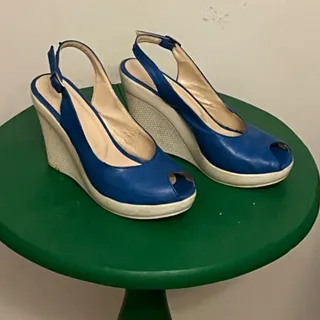 کفش لژدار