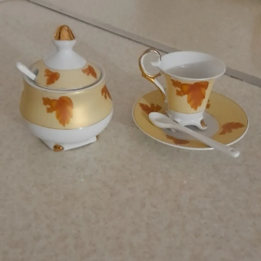 سرویس قهوه خوری چینی 21 پ