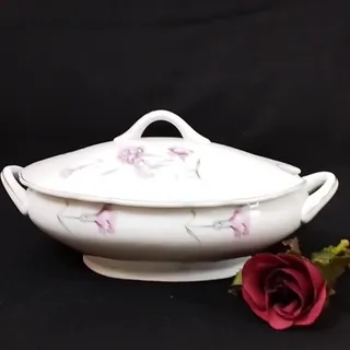سوپخوری گل میخک
