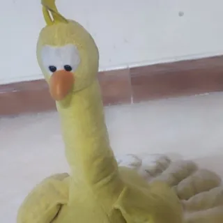 اردک