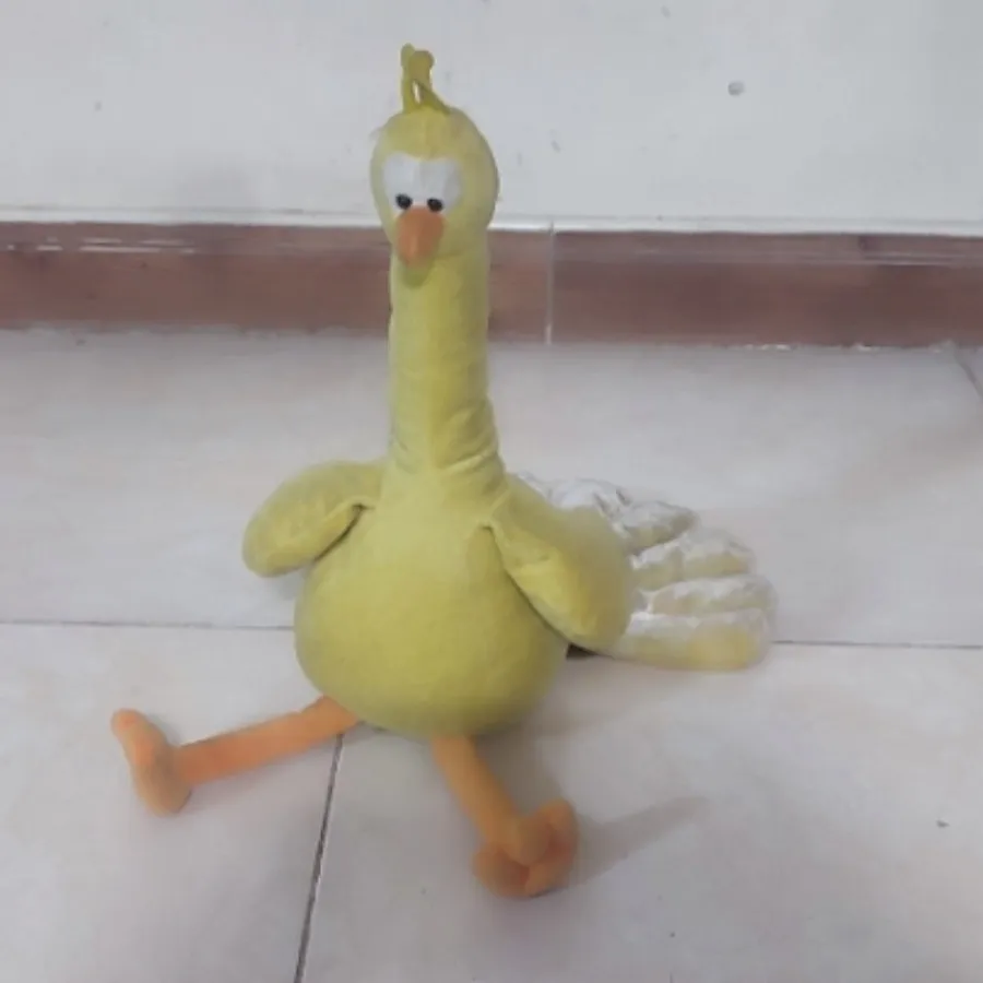 اردک
