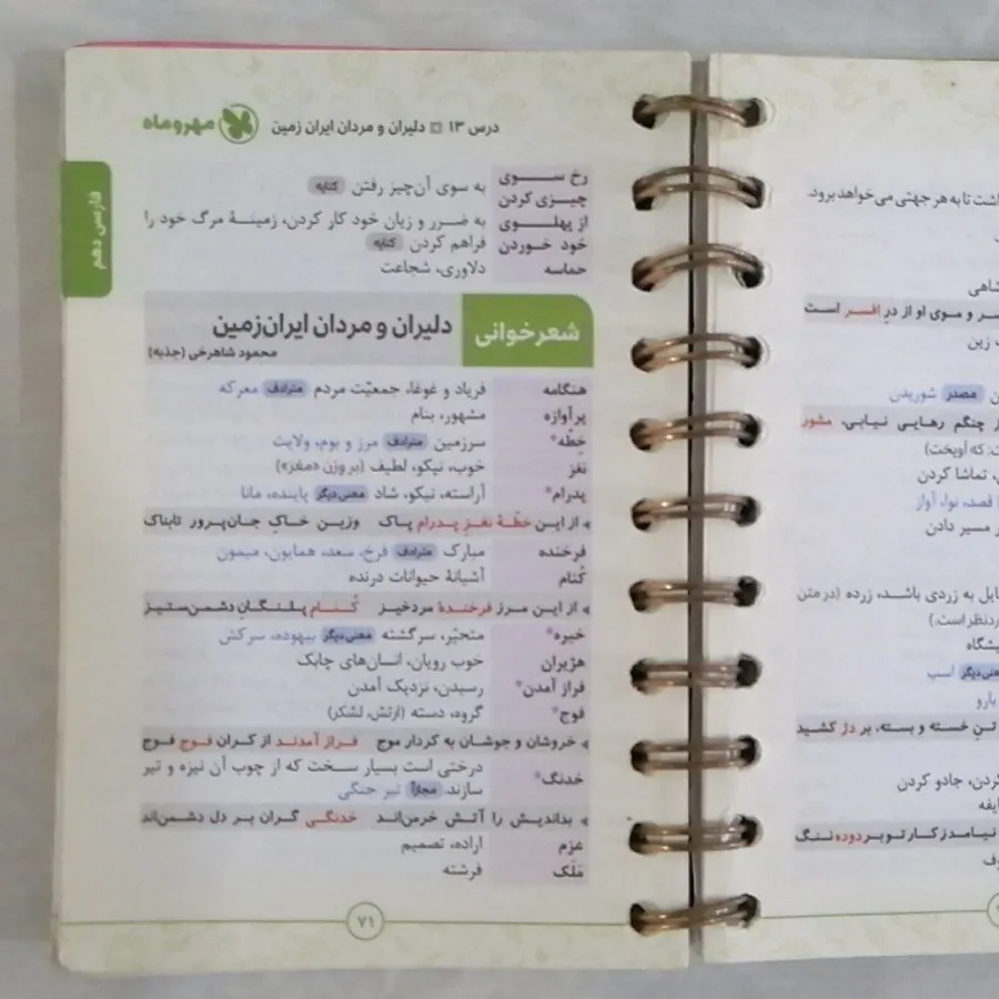 لغت و املای فارسی جامع لق