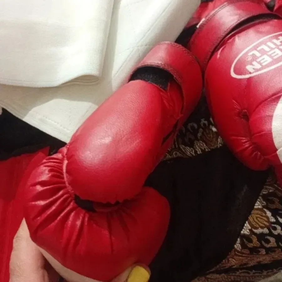 وسایل مبارزه ووشو اقتصادی