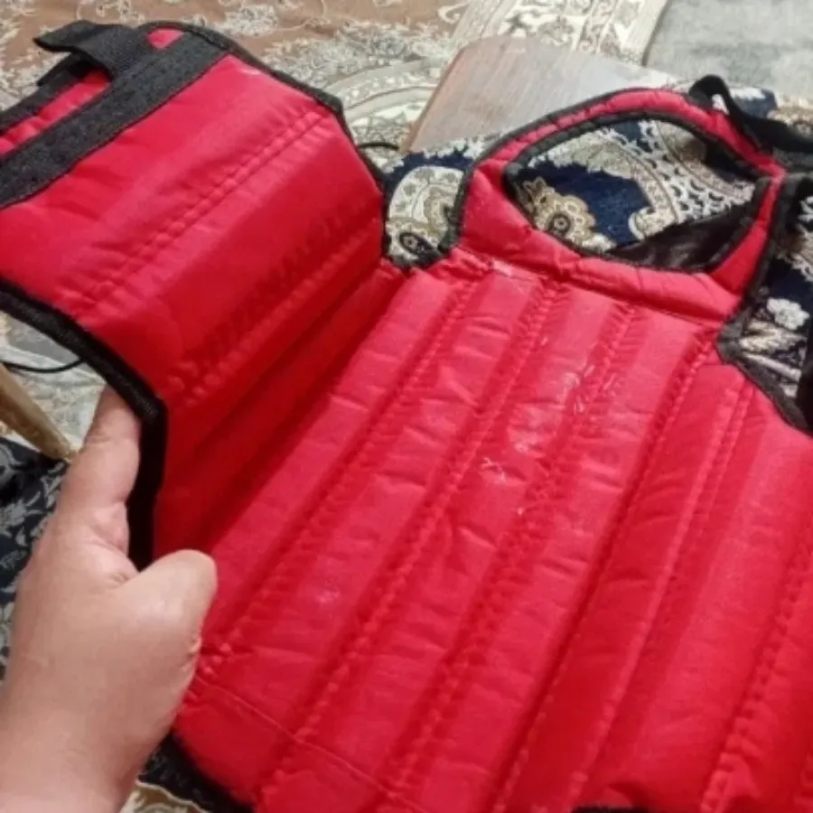 وسایل مبارزه ووشو اقتصادی