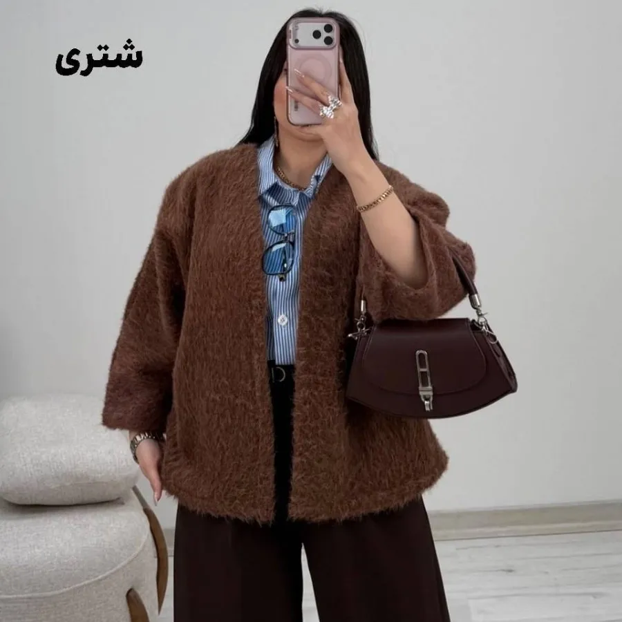 پالتو