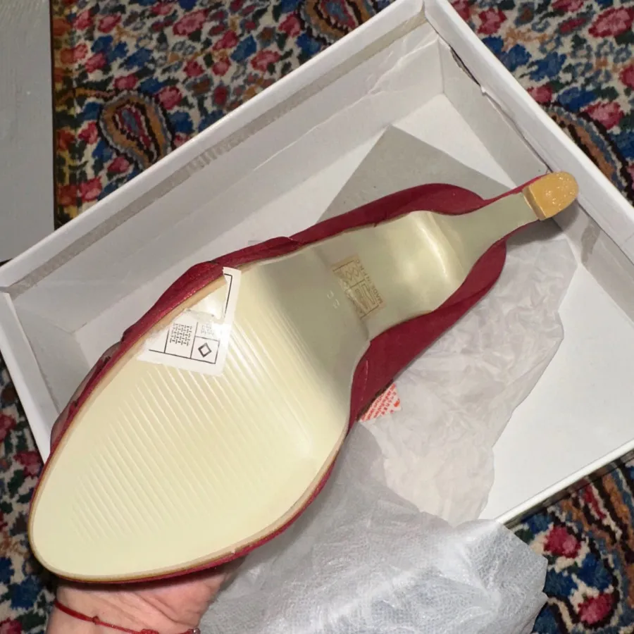 کفش مجلسی