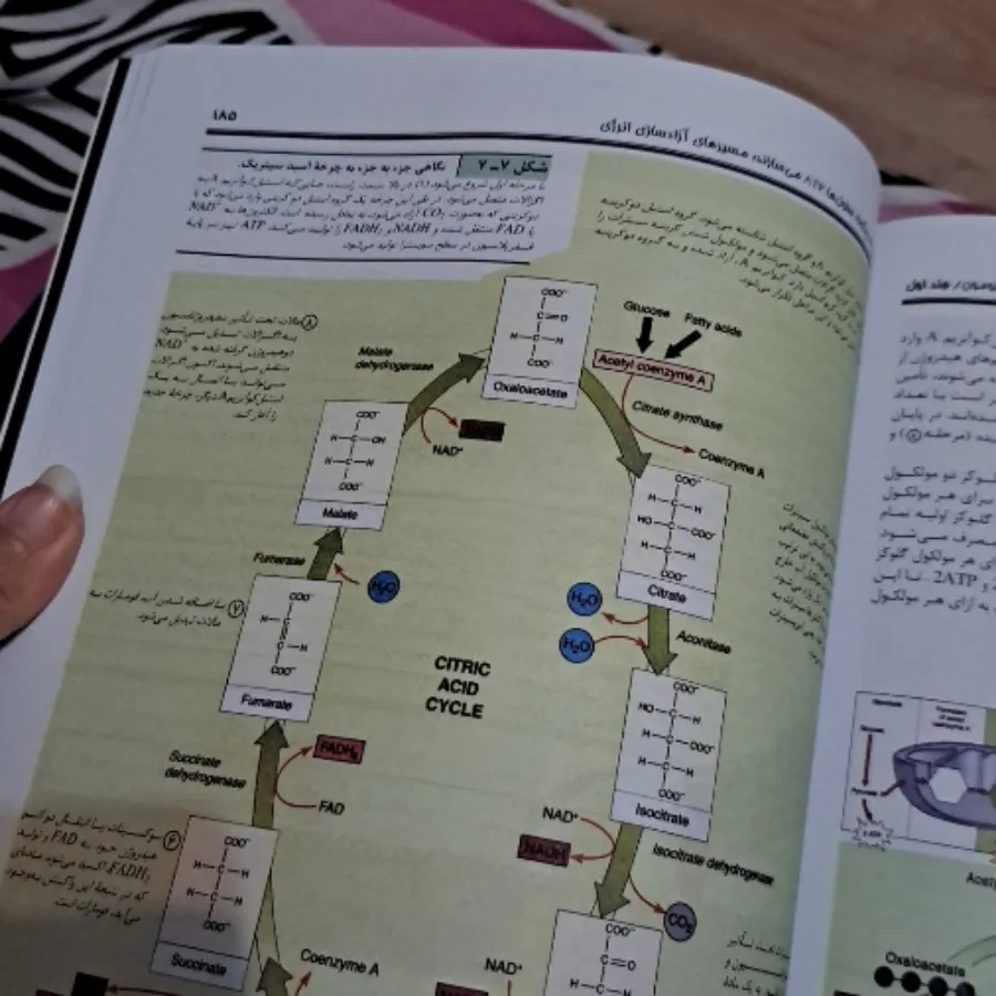سه جلد بیولوژی سولومون