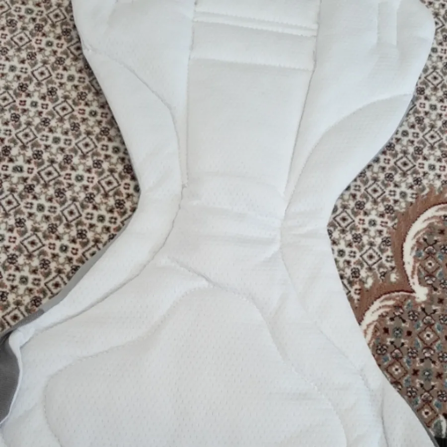 آغوشی چیکو