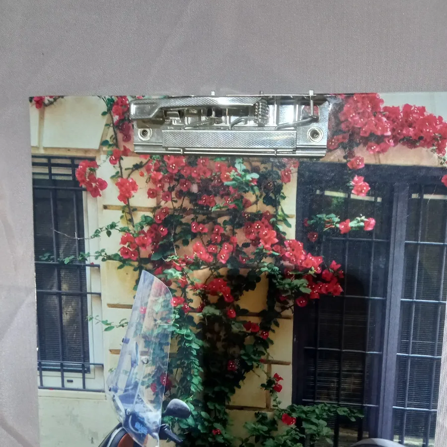 شاسی