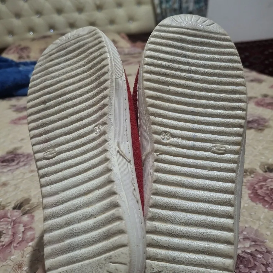 کفش خرگوشی