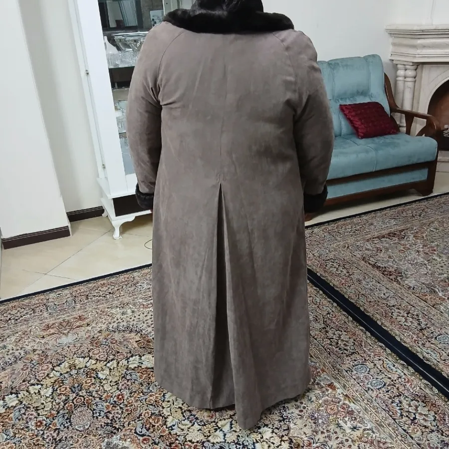 پالتو