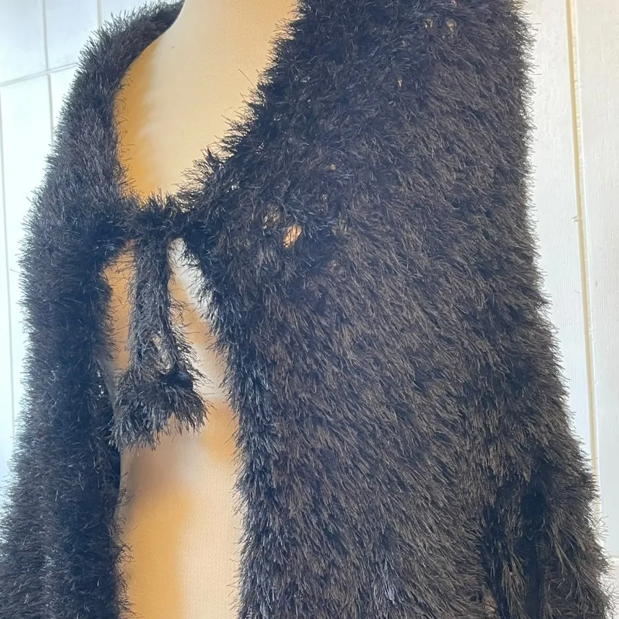 رودوشی