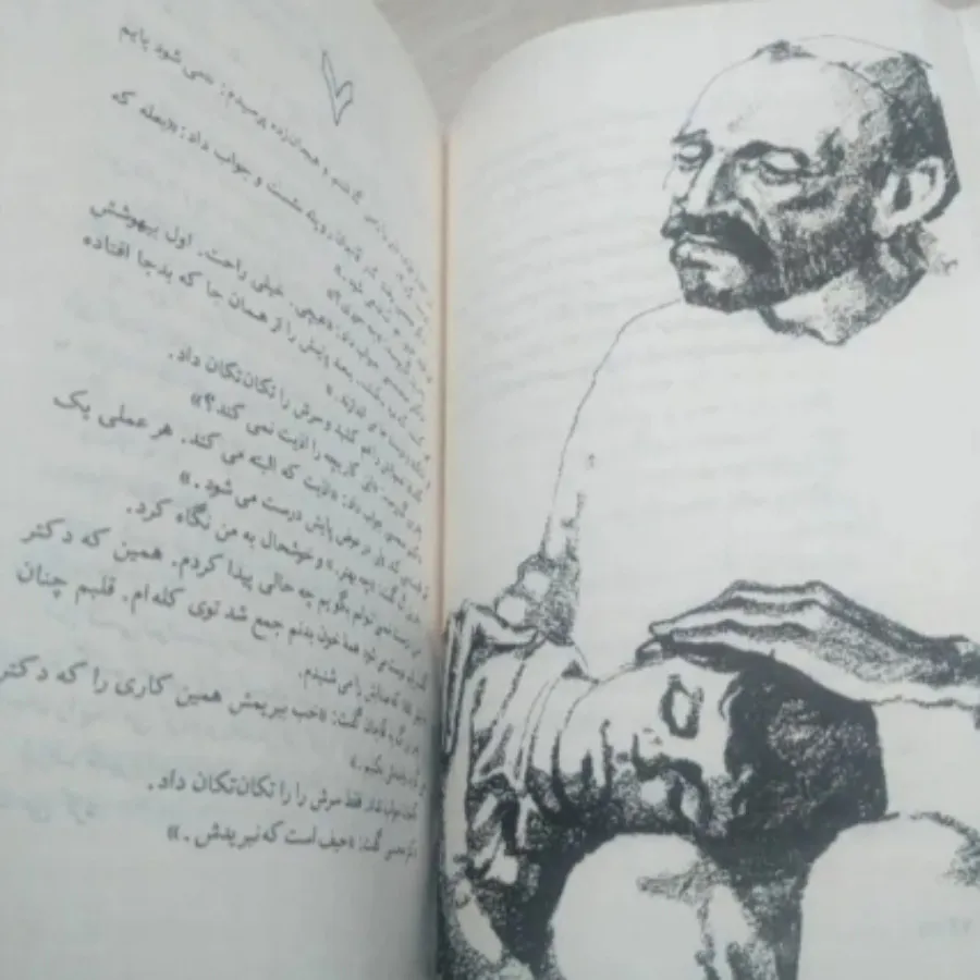 سختون .لک لک ها بر بام