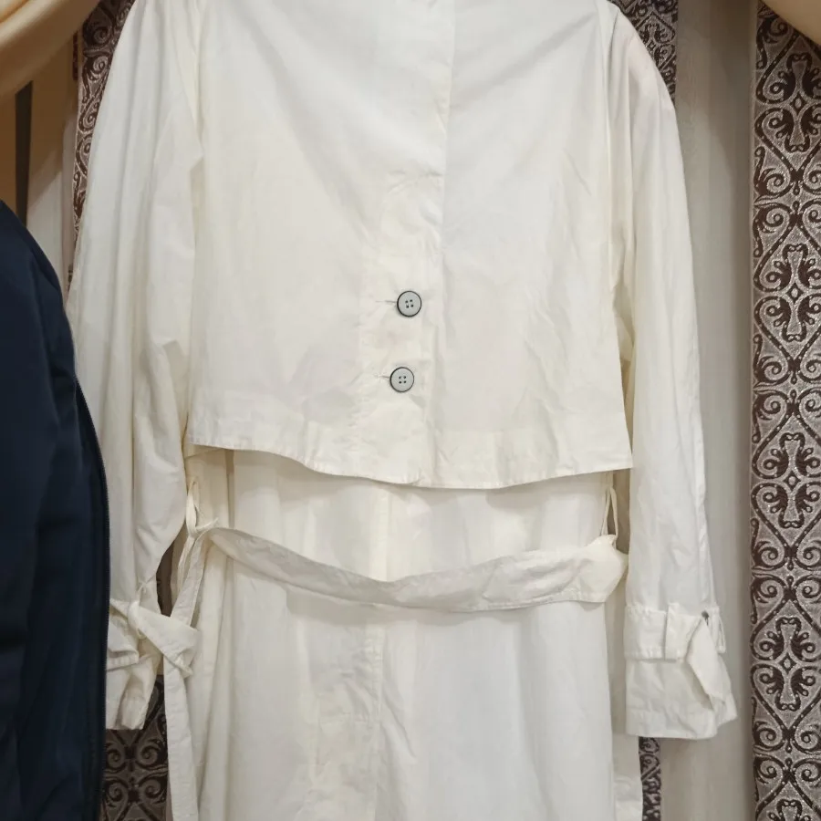 بارونی