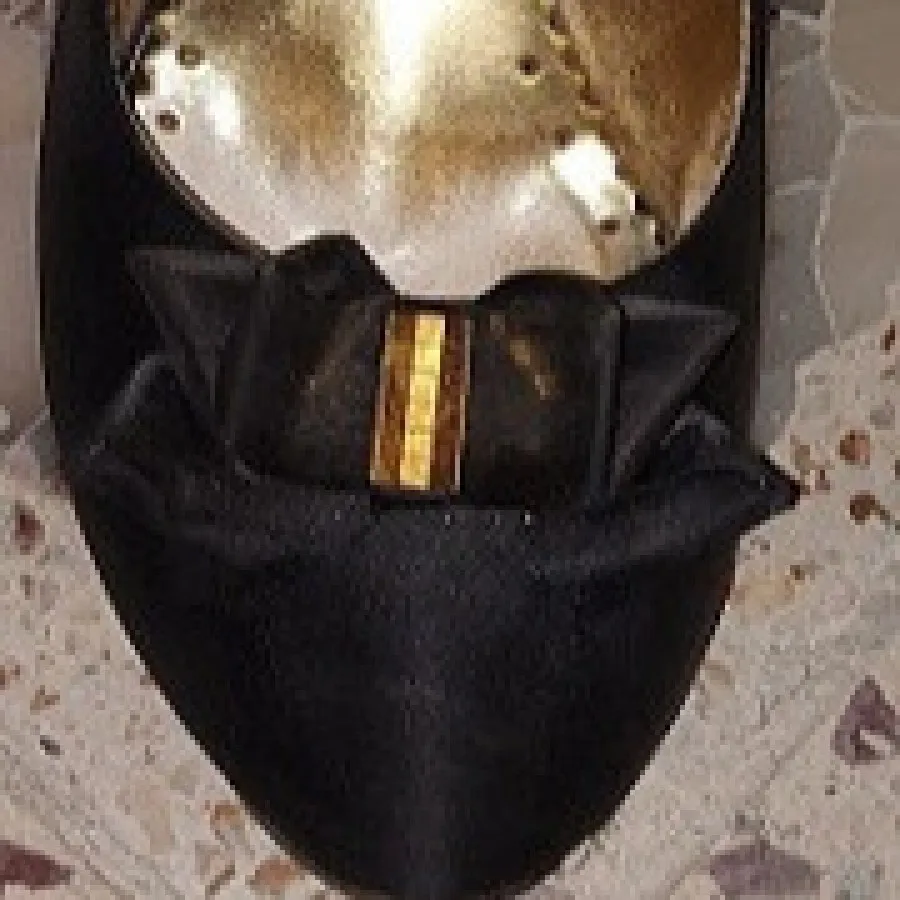 کفش مجلسی