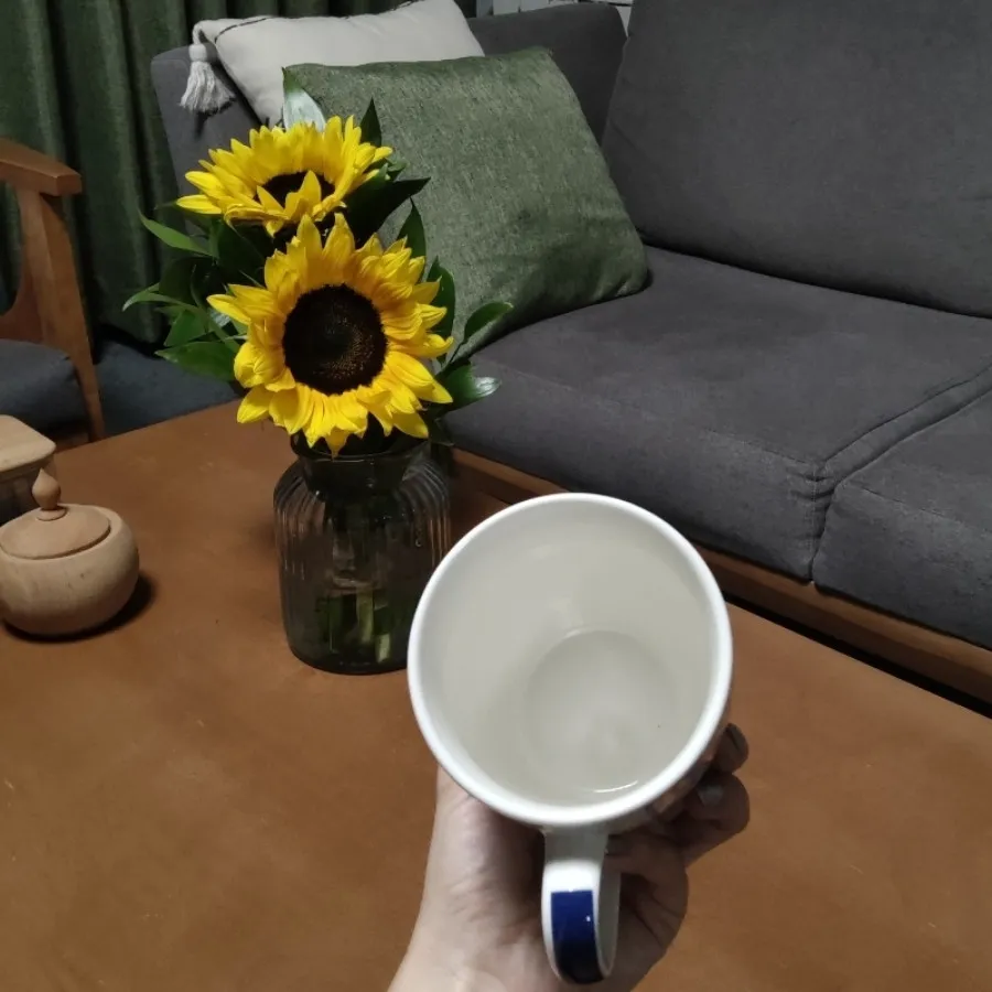 ماگ سرامیکی آکبند