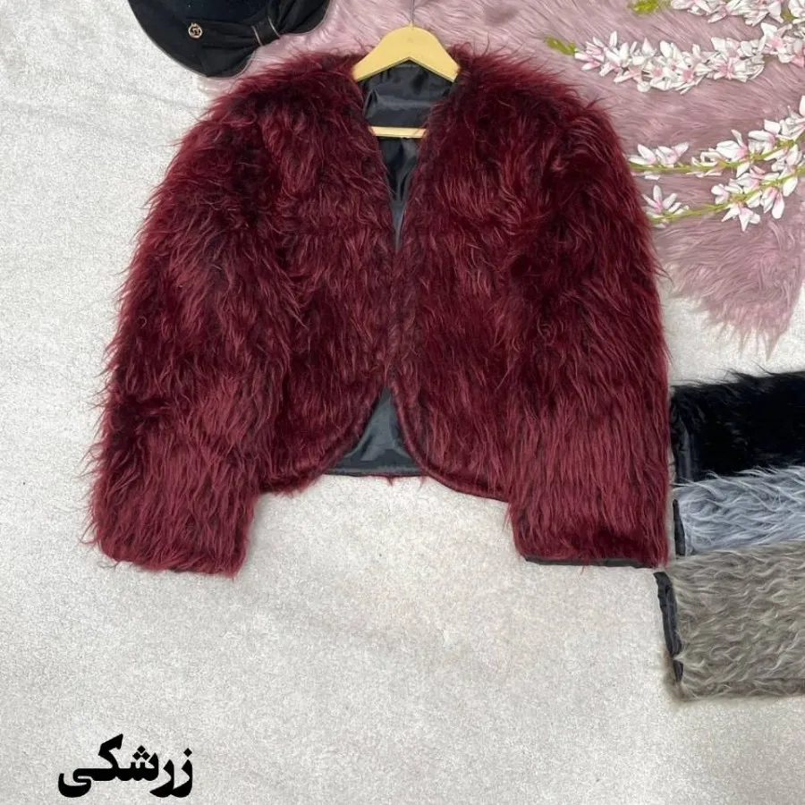 پالتو