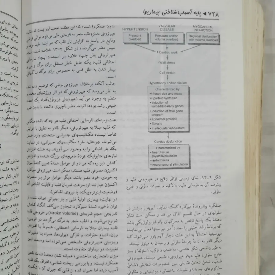 پایه آسیب شناختی بیماریها