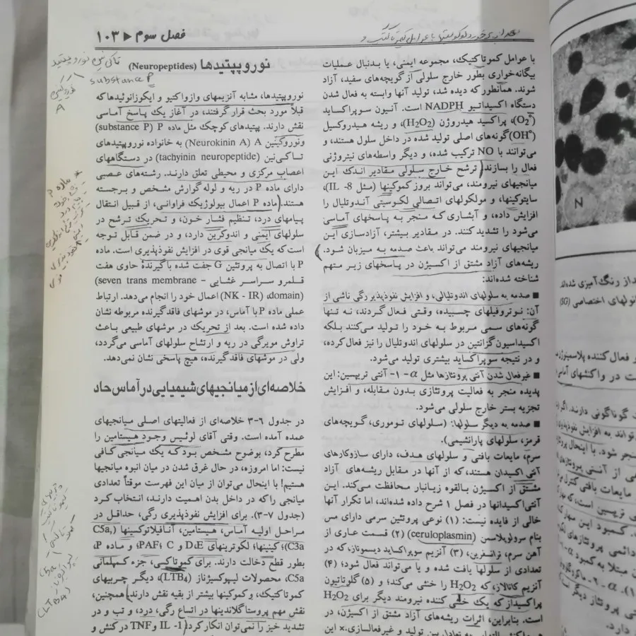 پایه آسیب شناختی بیماریها