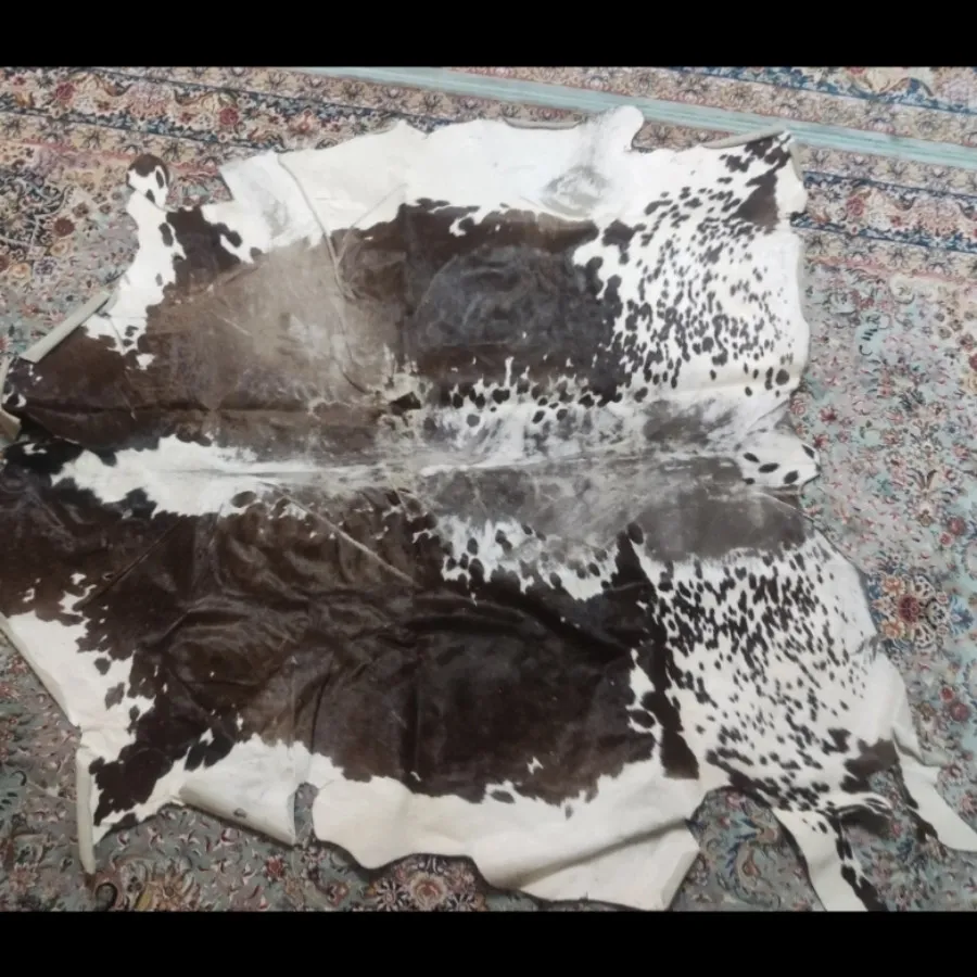 پوست گاو