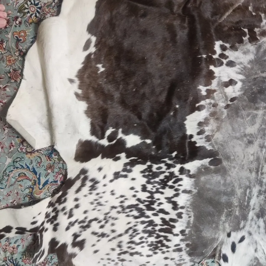 پوست گاو