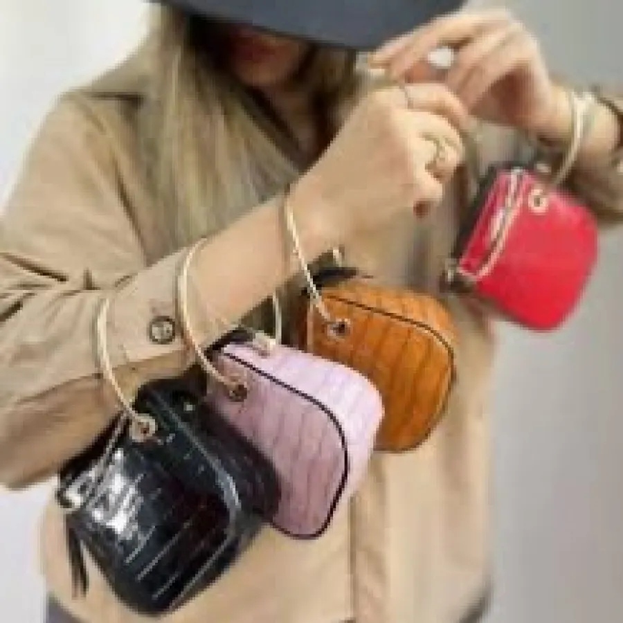 مینی بگ مجلسی