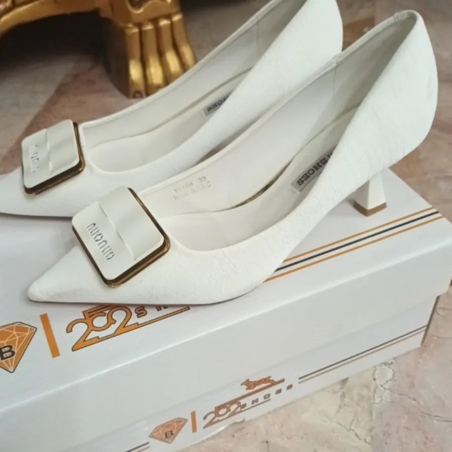 کفش مجلسی