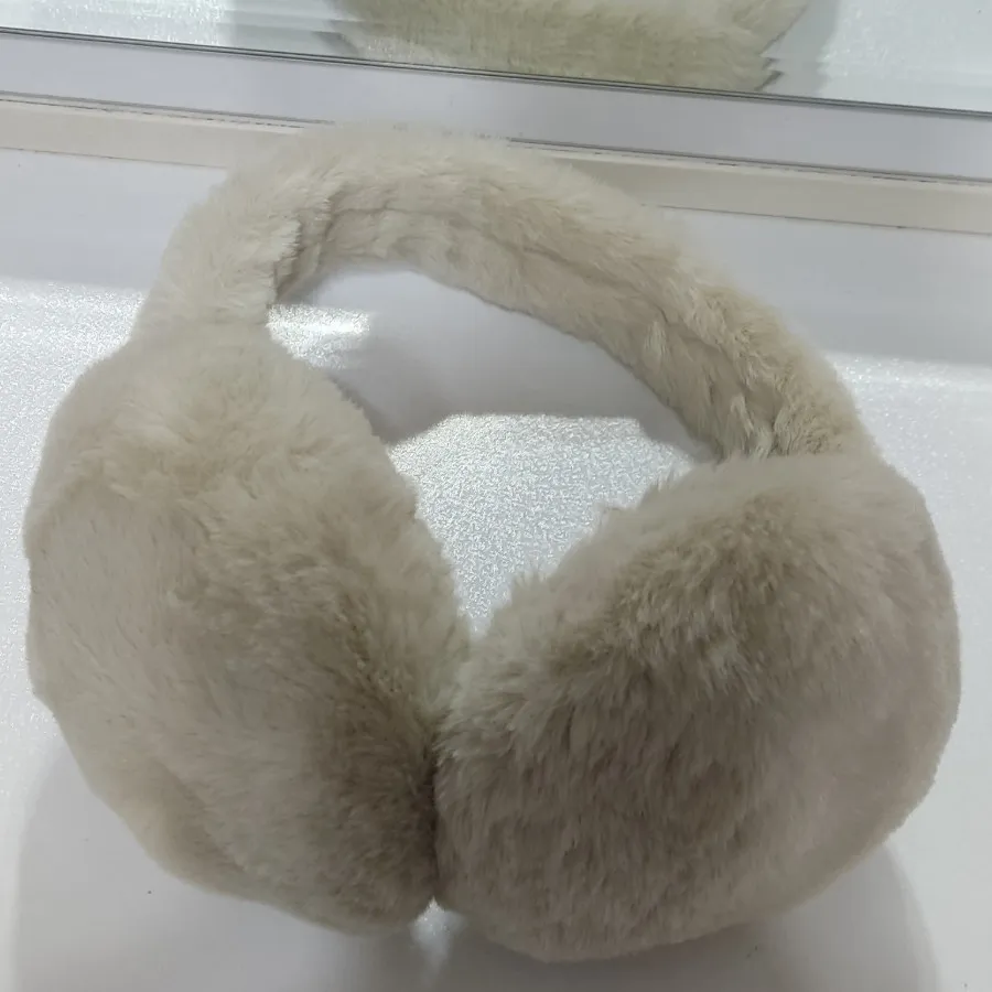 گوشگیر