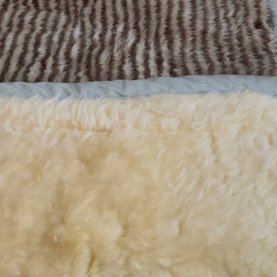 روتختی