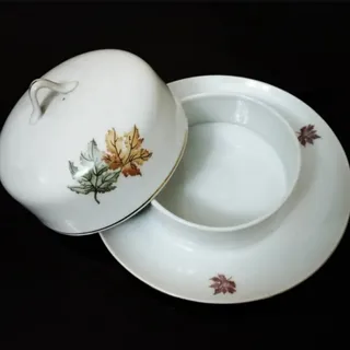 خاویار خوری برند مسعود
