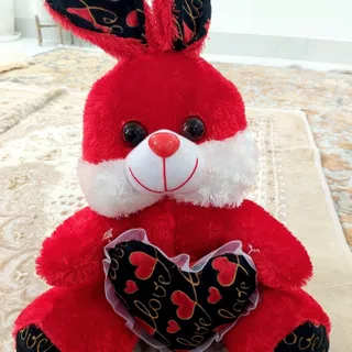 خرگوش